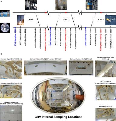 Assessing the Risk of Transfer of Microorganisms at the International Space Station Due to Cargo Delivery by Commercial Resupply Vehicles